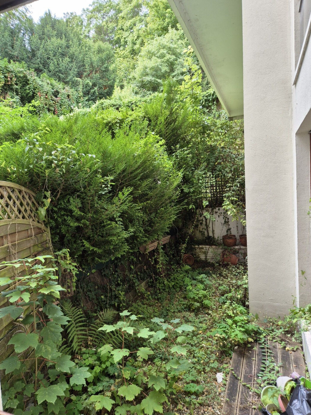 Property view 3